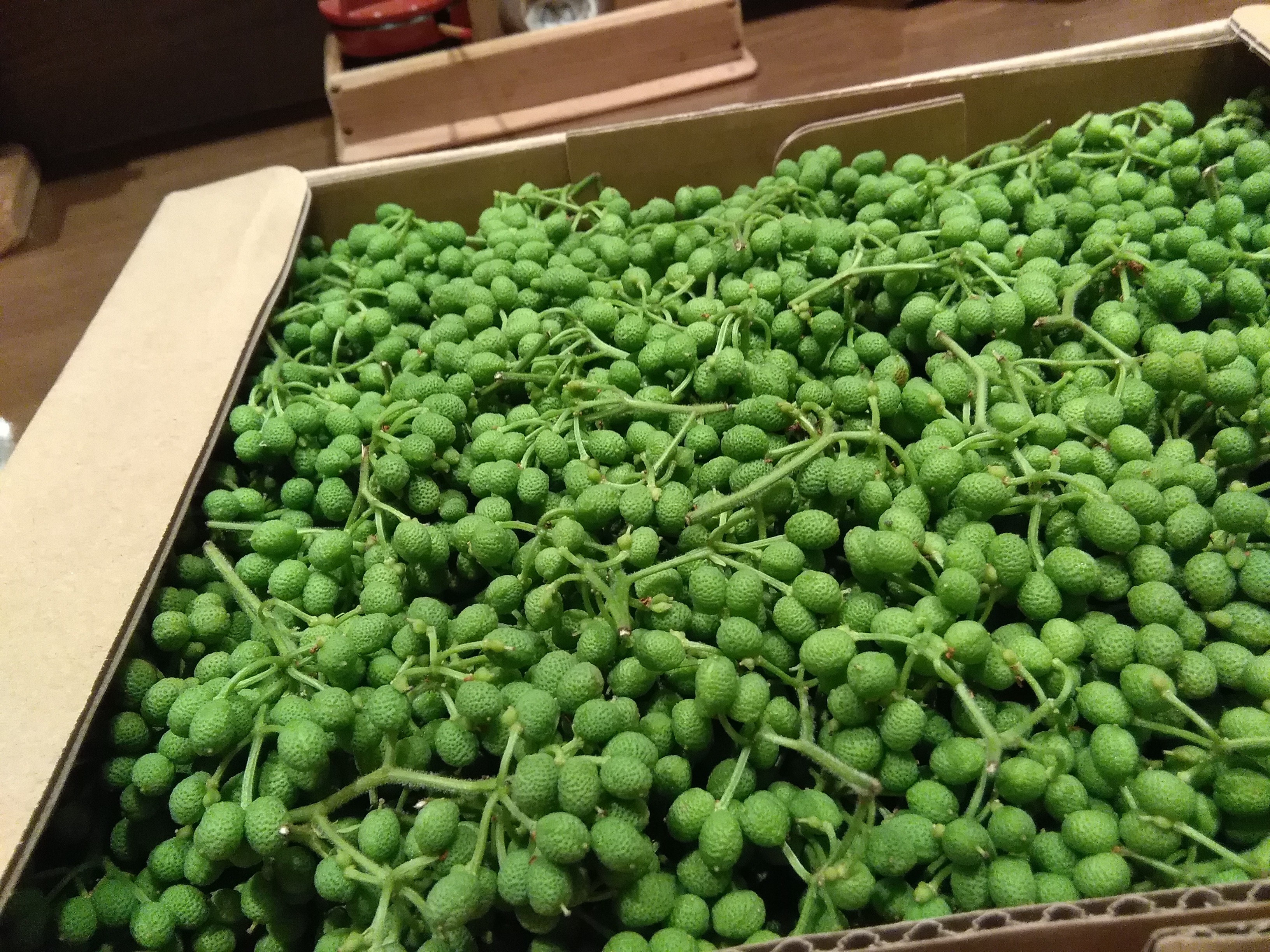 アップロードファイル 1006-1.jpg