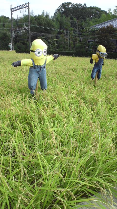 アップロードファイル 1034-1.jpg