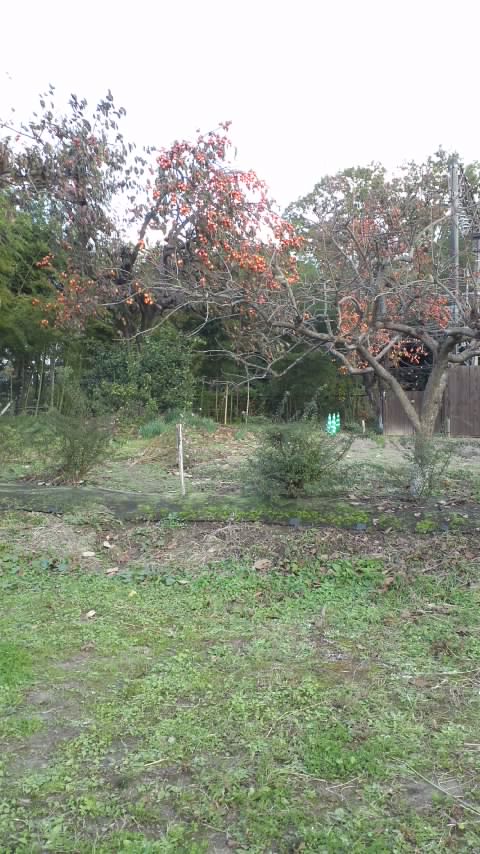 アップロードファイル 1044-1.jpg