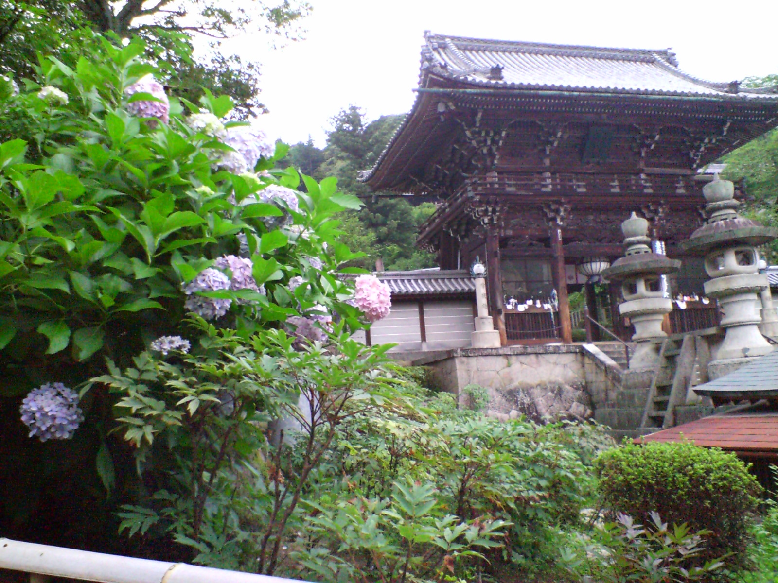 アップロードファイル 115-1.jpg