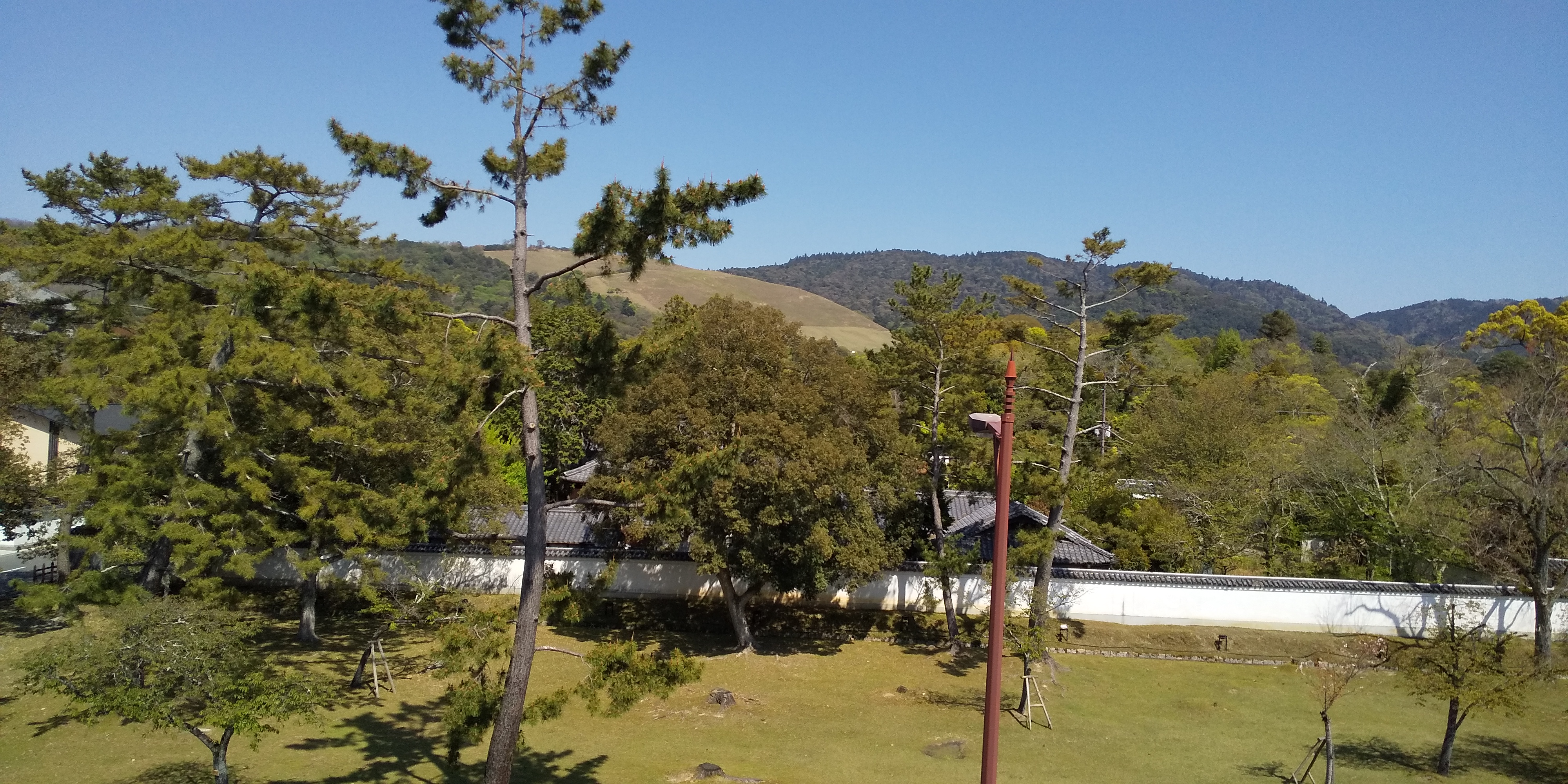 アップロードファイル 1159-1.jpg