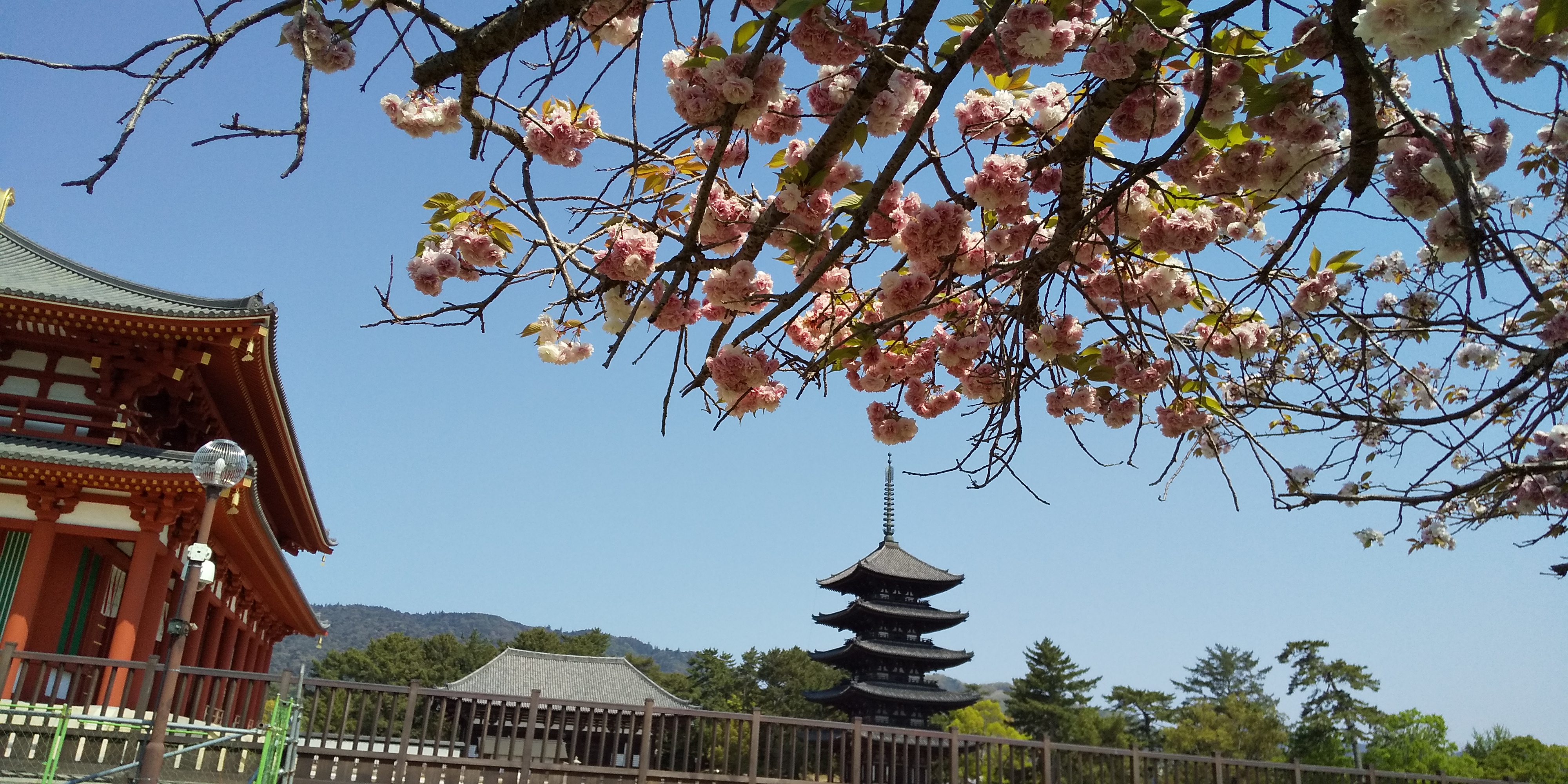 アップロードファイル 1160-1.jpg