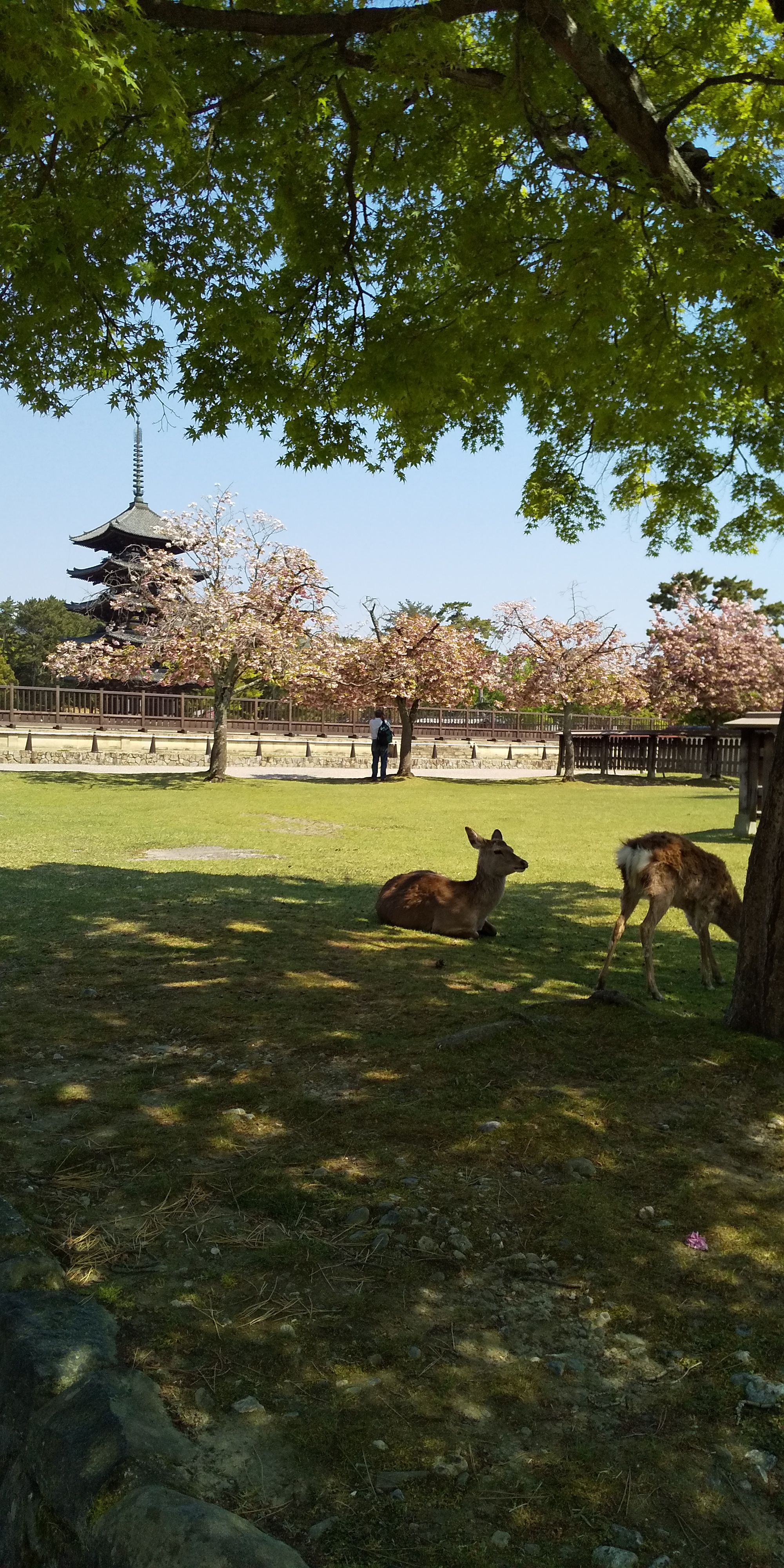 アップロードファイル 1160-2.jpg