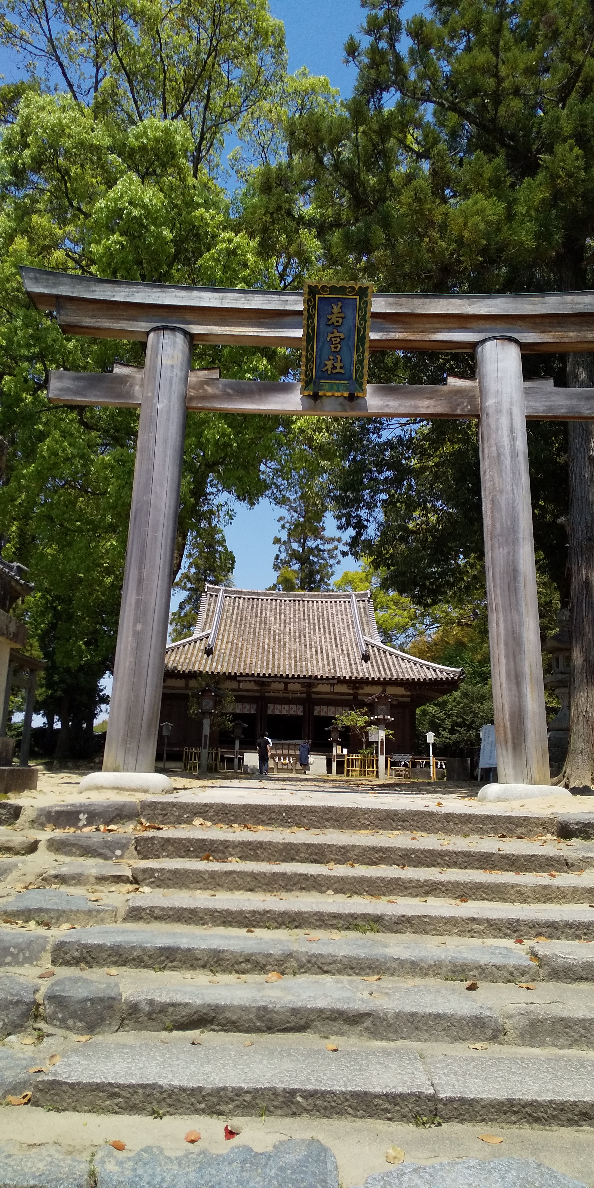 アップロードファイル 1161-2.jpg