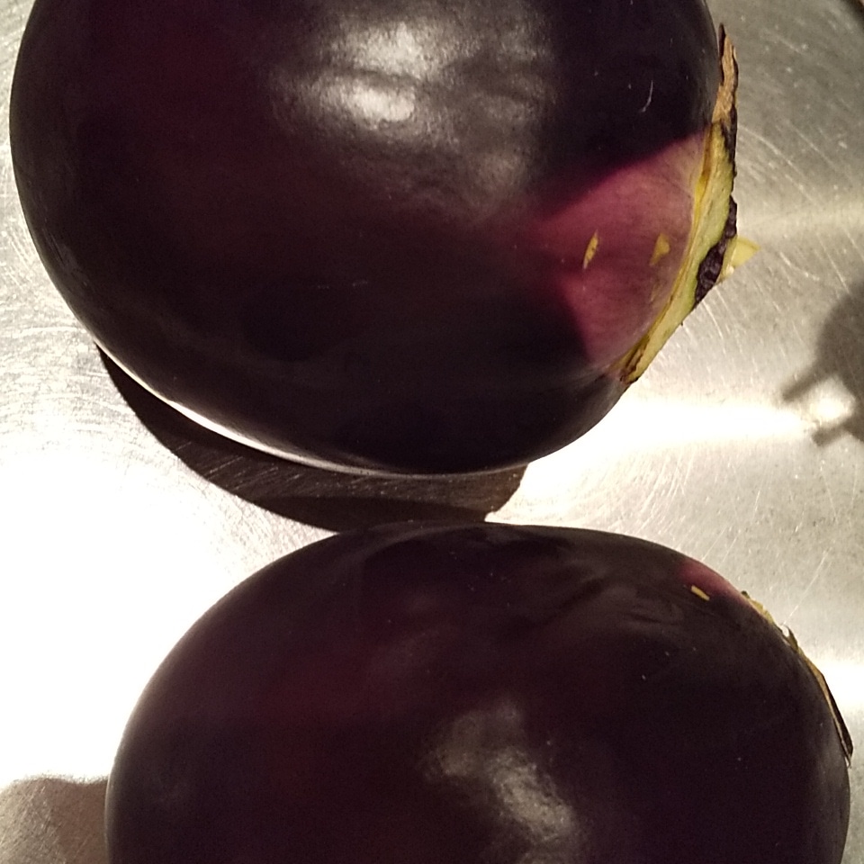 アップロードファイル 1264-1.jpg