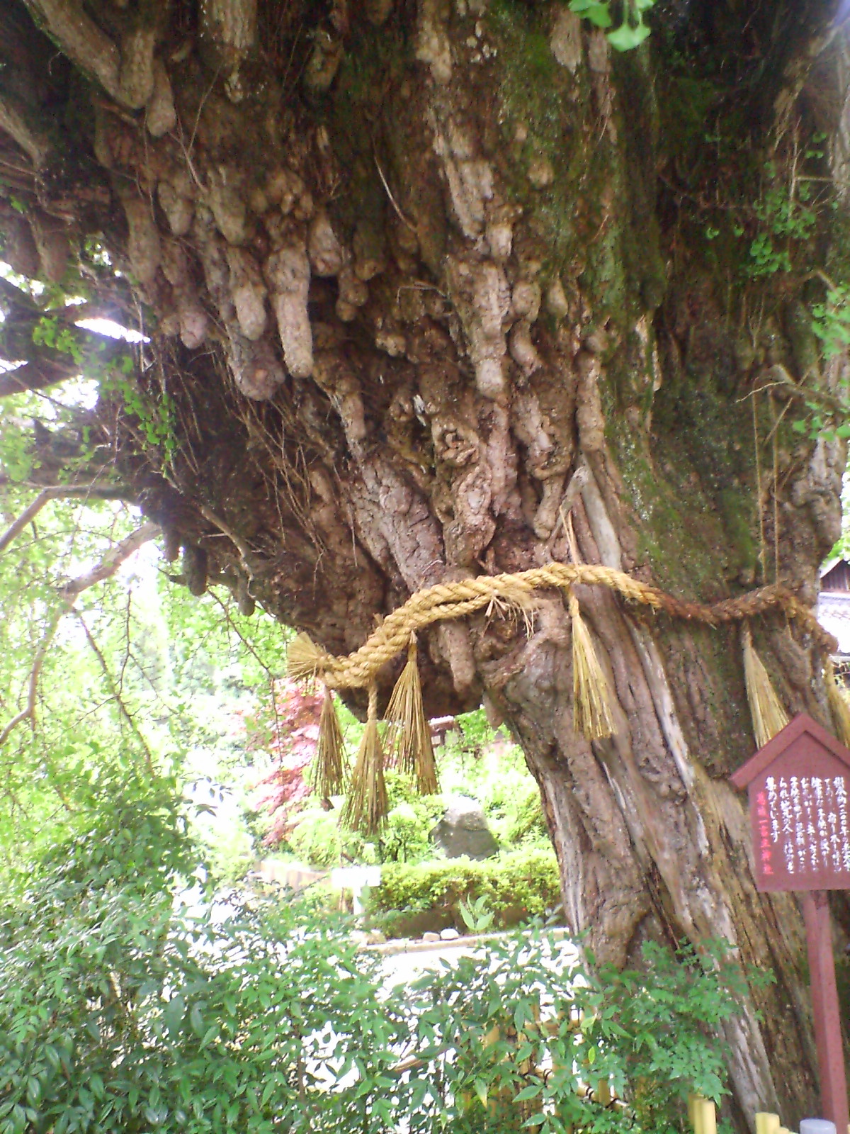 アップロードファイル 127-2.jpg