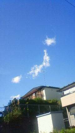 アップロードファイル 529-1.jpg