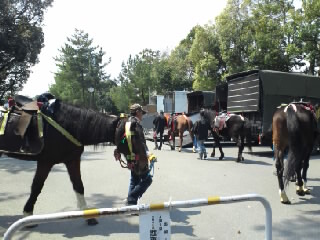 アップロードファイル 581-1.jpg