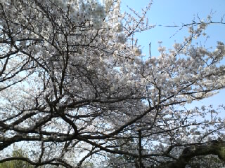 アップロードファイル 581-2.jpg