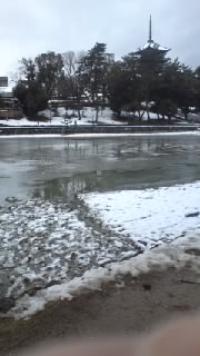 アップロードファイル 768-1.jpg