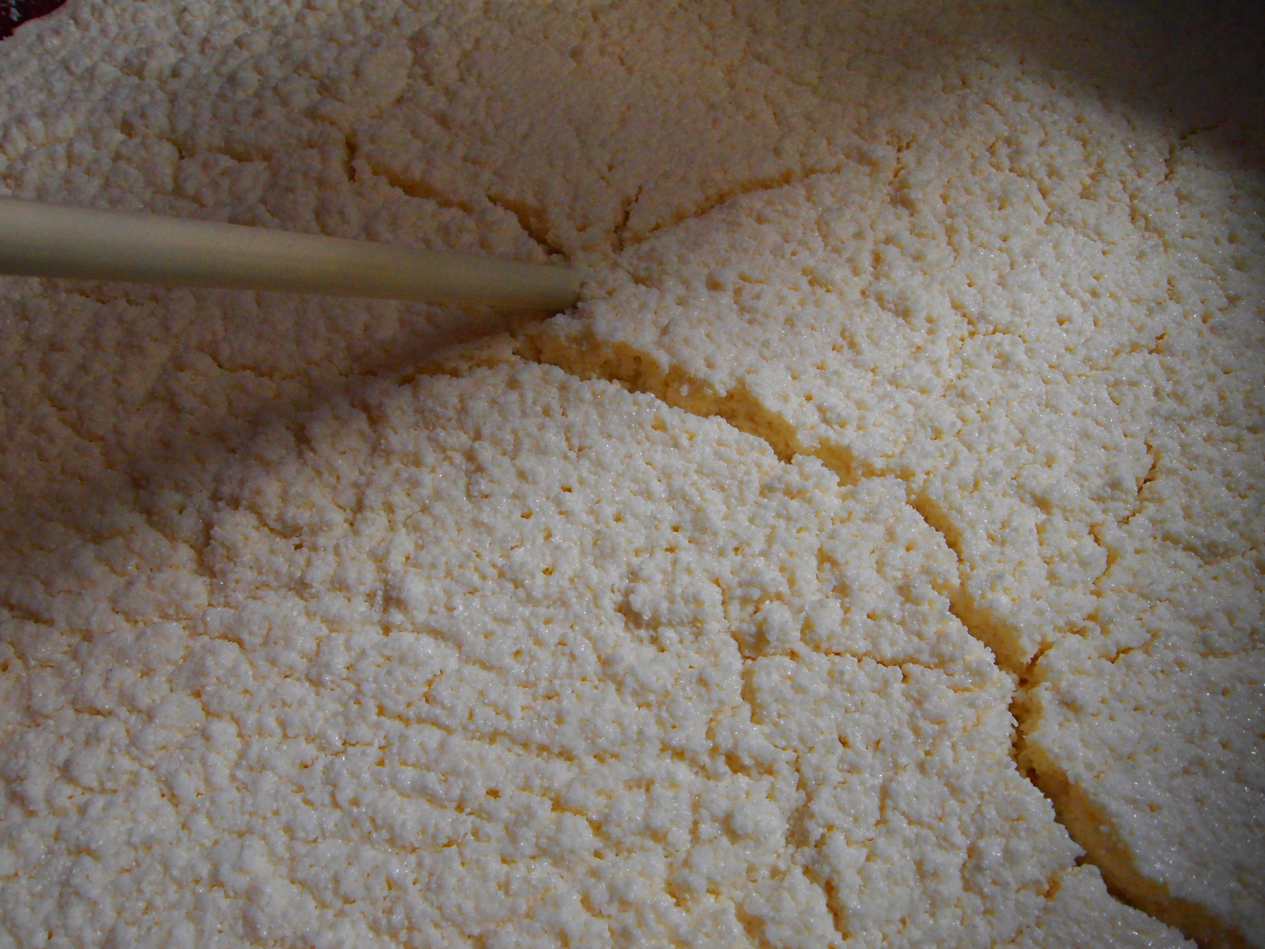 アップロードファイル 863-4.jpg