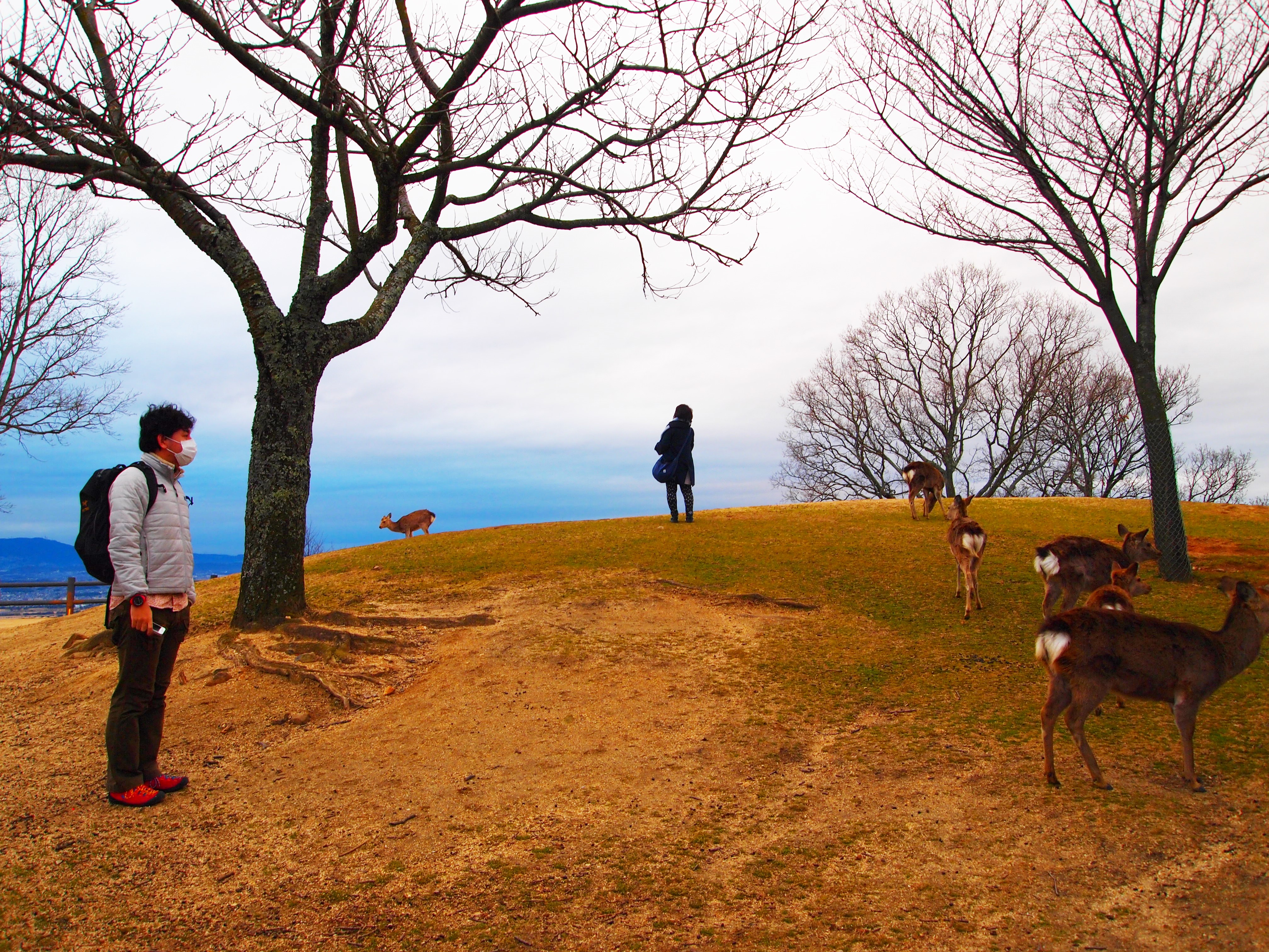 アップロードファイル 864-1.jpg