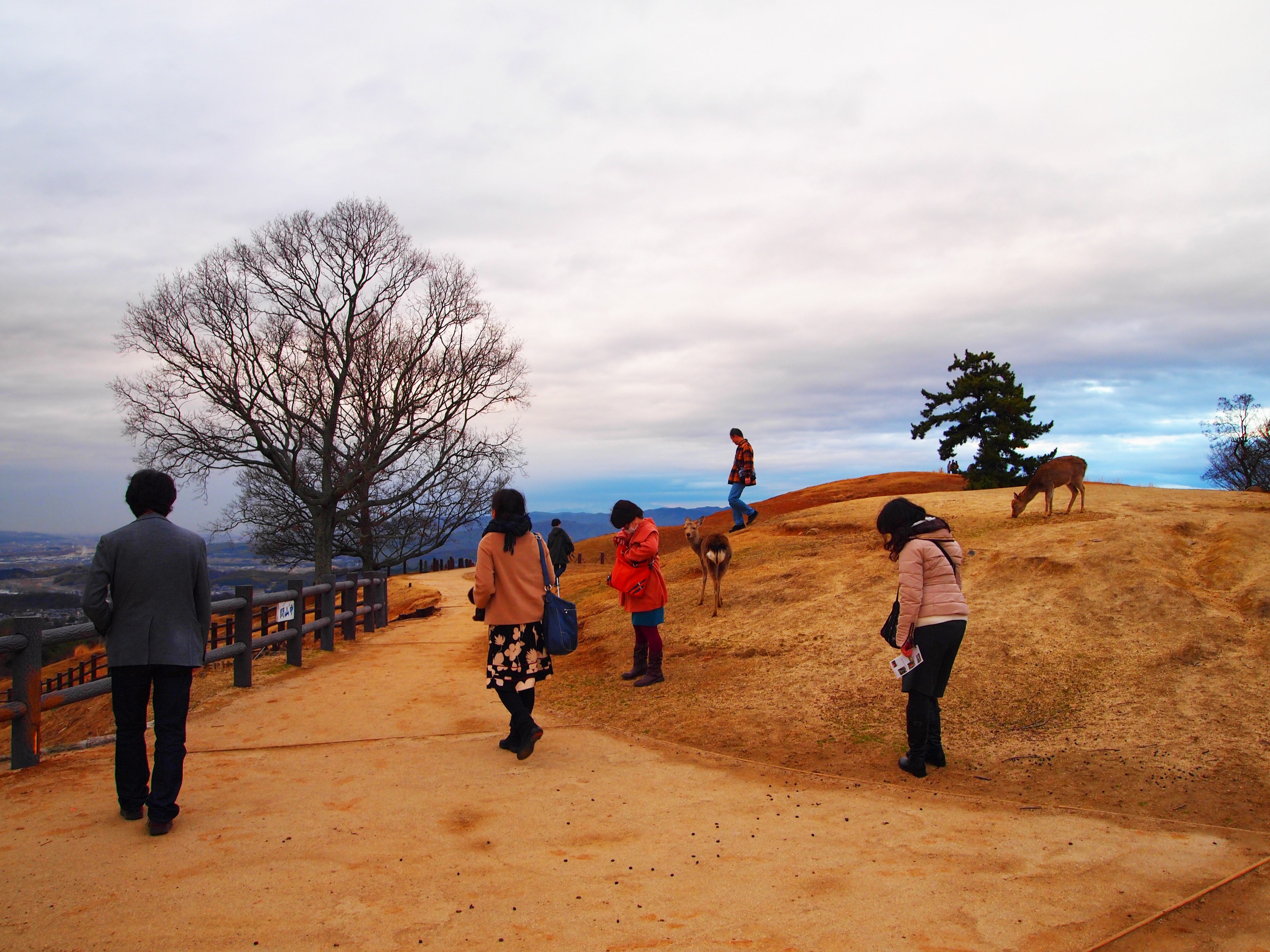 アップロードファイル 864-2.jpg