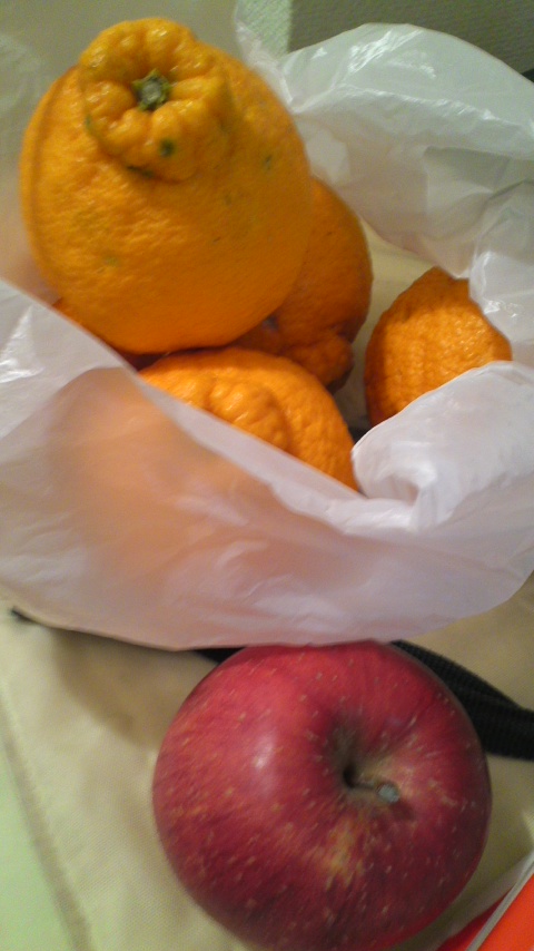 アップロードファイル 872-1.jpg