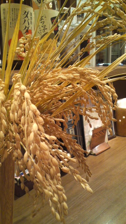 アップロードファイル 915-1.jpg