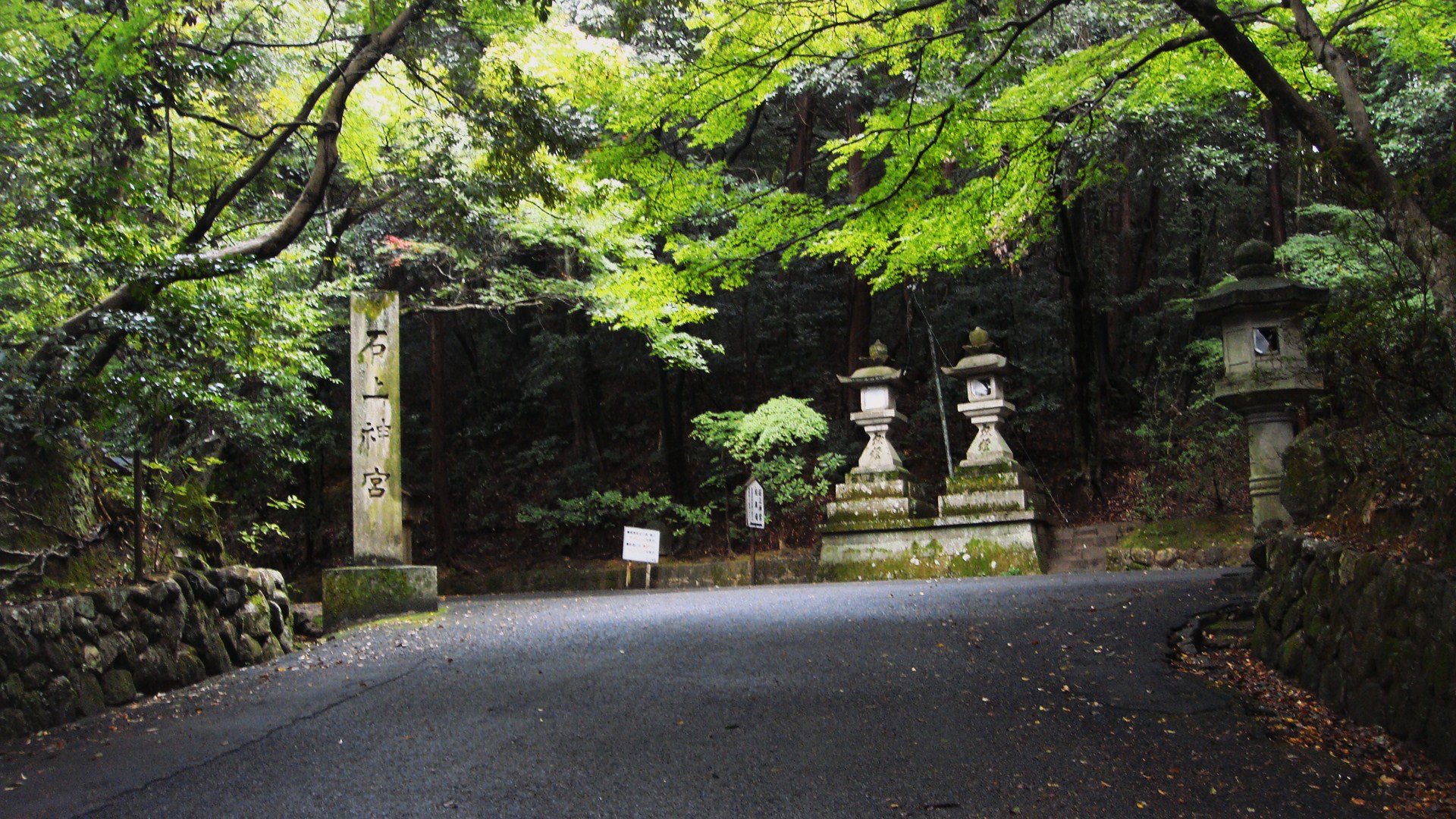 アップロードファイル 919-2.jpg